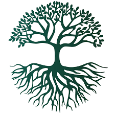 Estancia Figueroa SA